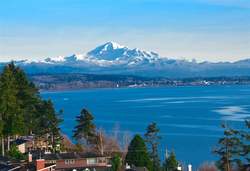 2620430531 at 13124  Drive, Crescent Bch Ocean Pk., South Surrey White Rock