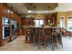 16248-36a-avenue-morgan-creek-south-surrey-white-rock-06 at 16248 36a Avenue, Morgan Creek, South Surrey White Rock