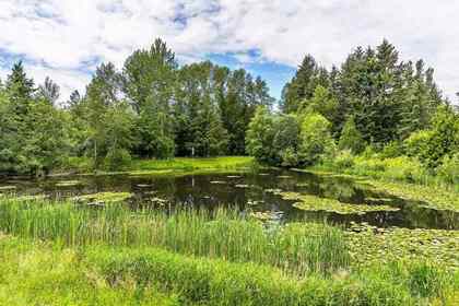 3133-147-street-elgin-chantrell-south-surrey-white-rock-24 at 3133 147 Street, Elgin Chantrell, South Surrey White Rock