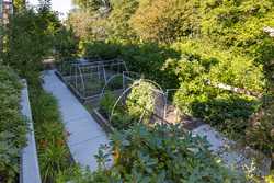 2-15588-32-avenue-web-25 at 2 - 15588 32 Avenue, Morgan Creek, South Surrey White Rock