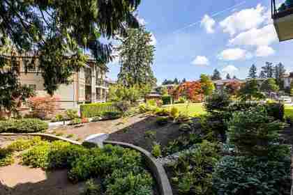 15145-36-avenue-morgan-creek-south-surrey-white-rock-16 at 103 - 15145 36 Avenue, Morgan Creek, South Surrey White Rock