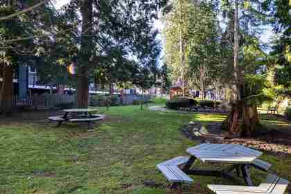 2853-helc-place-grandview-surrey-south-surrey-white-rock-31 at 111 - 2853 Helc Place, Grandview Surrey, South Surrey White Rock