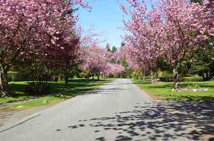 2794-country-woods-drive-grandview-surrey-south-surrey-white-rock-26 at 2794 Country Woods Drive, Grandview Surrey, South Surrey White Rock