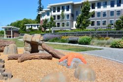 3323-151-street-morgan-creek-south-surrey-white-rock-29 at 414 - 3323 151 Street, Morgan Creek, South Surrey White Rock