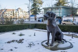 15333-16-avenue-white-rock-south-surrey-white-rock-31 at 710 - 15333 16 Avenue, White Rock, South Surrey White Rock