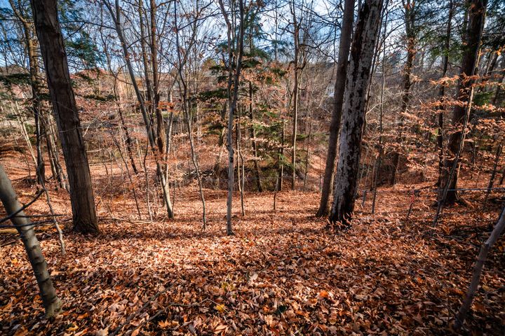 highres_004 at 139 Citation Drive, Bayview Village, Toronto highres_004 at 139 Citation Drive, Bayview Village, Toronto