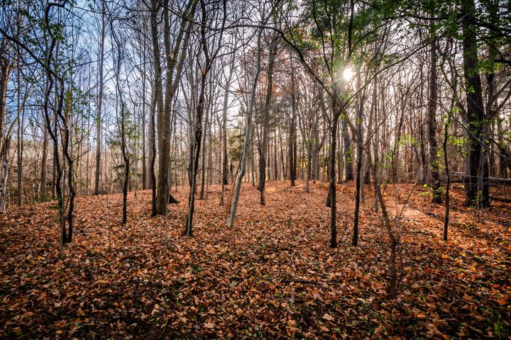 highres_006 at 139 Citation Drive, Bayview Village, Toronto highres_006 at 139 Citation Drive, Bayview Village, Toronto