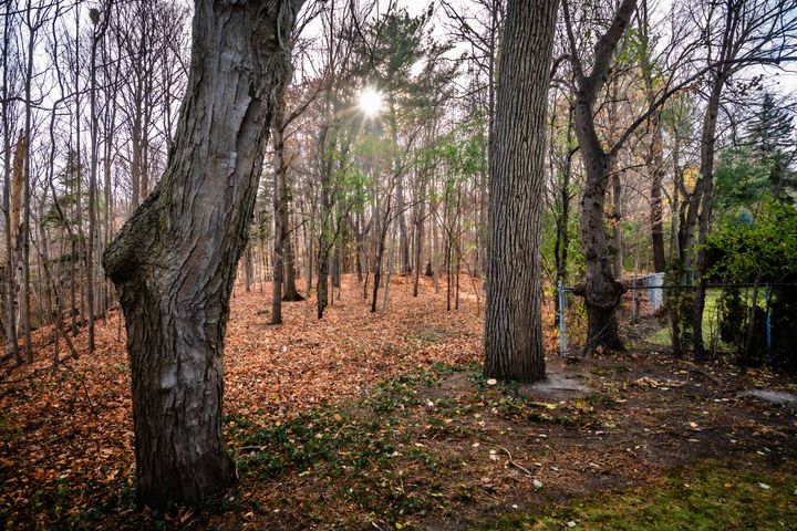 highres_007 at 139 Citation Drive, Bayview Village, Toronto highres_007 at 139 Citation Drive, Bayview Village, Toronto