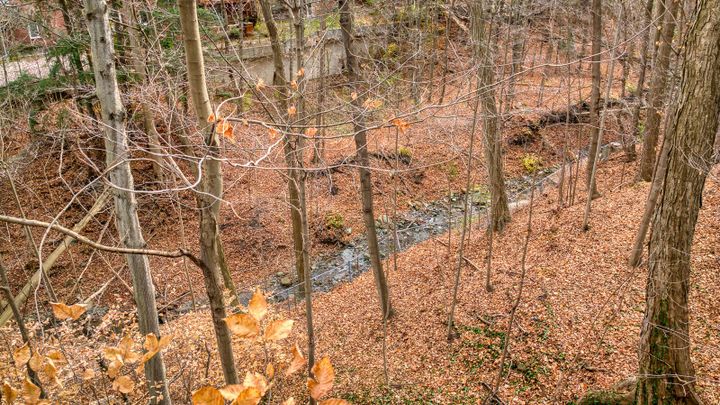 img-13 at 139 Citation Drive, Bayview Village, Toronto img-13 at 139 Citation Drive, Bayview Village, Toronto