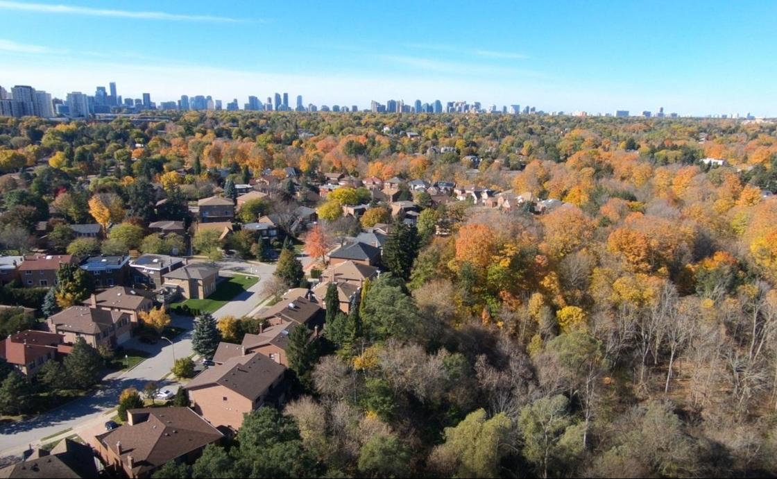 Specializing in Bayview Village For Over 50 Years 