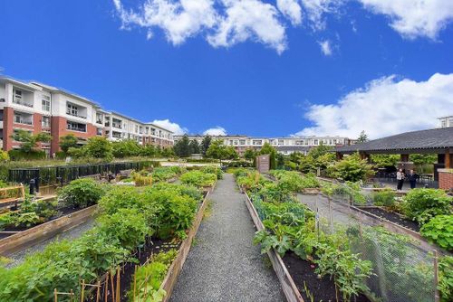 8150-207-street-willoughby-heights-langley-35 at B220 - 8150 207 Street, Willoughby Heights, Langley