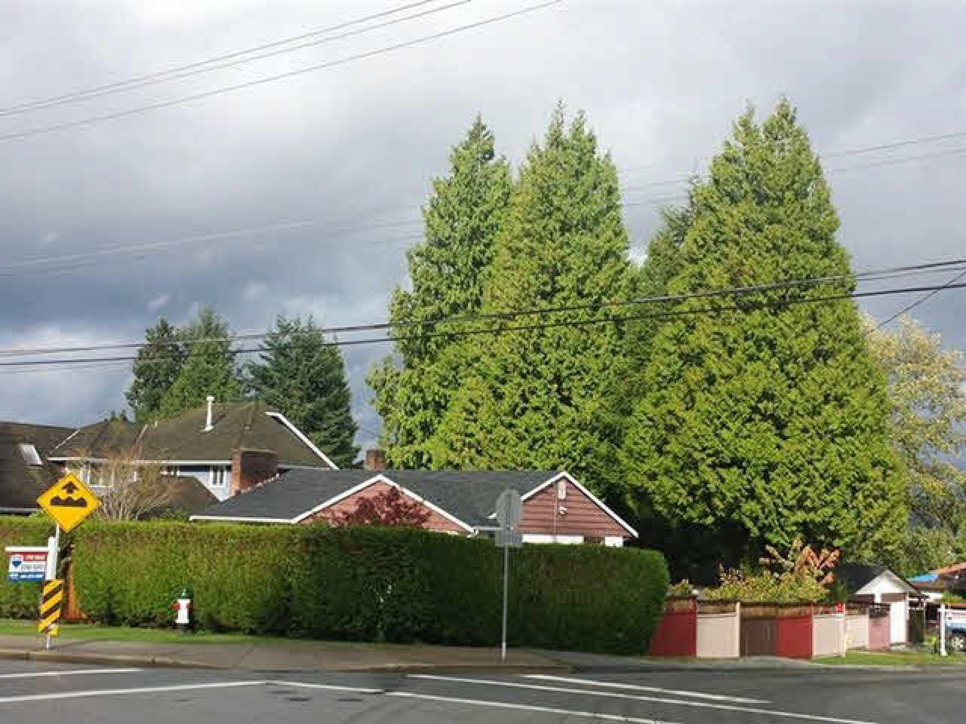 6290 Walker Avenue, Upper Deer Lake, Burnaby South by The Kardi Group 6290 Walker Avenue, Upper Deer Lake, Burnaby South