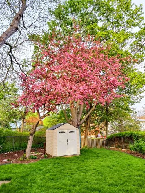 08b4ccaa-d511-4b67-8578-1afff8f6787a at 31 Rodarick Drive, Centennial Scarborough, Toronto