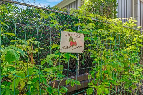 31-rodarick-drive-toronto-web-mls-58 at 31 Rodarick Drive, Centennial Scarborough, Toronto