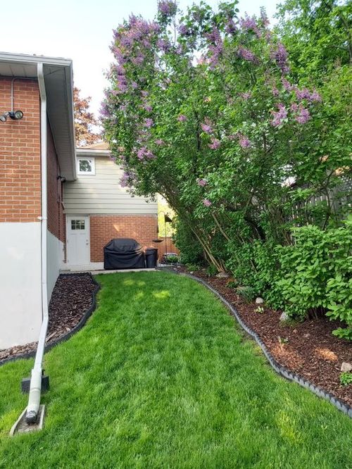 6fb562da-722b-4227-87c4-7e6d0f2fb615 at 31 Rodarick Drive, Centennial Scarborough, Toronto