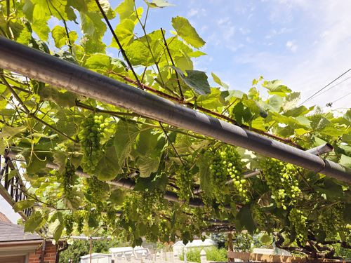 1fe1049b-2ffb-43b8-b3a5-f98a0dd2f97f at 146 Ennerdale Road, Caledonia-Fairbank, Toronto