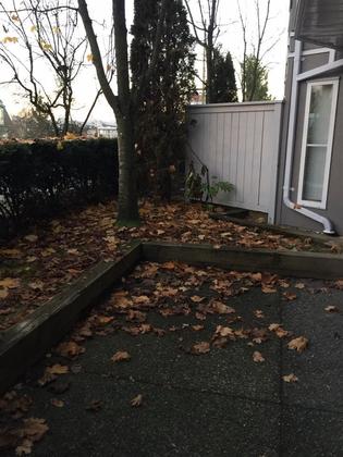 Patio at 102 - 245 St. Davids Avenue, Lower Lonsdale, North Vancouver