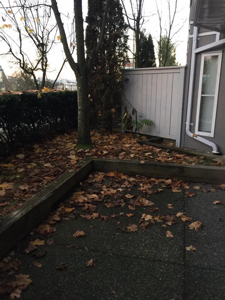 Patio at 102 - 245 St. Davids Avenue, Lower Lonsdale, North Vancouver Patio at 102 - 245 St. Davids Avenue, Lower Lonsdale, North Vancouver