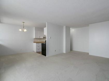 Dining-Room