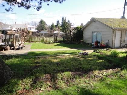 Back-Yard