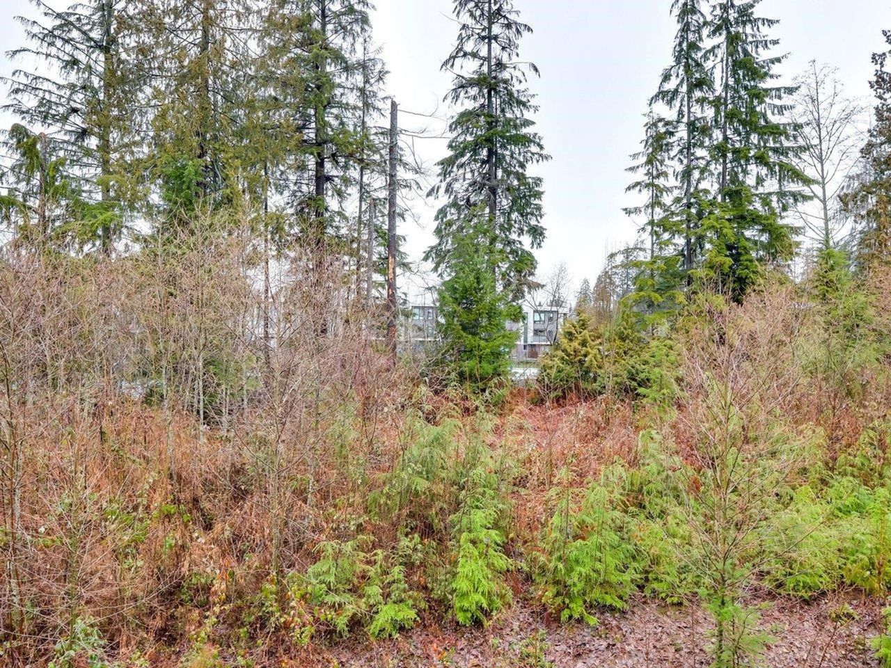 3602-aldercrest-drive-roche-point-north-vancouver-15 at 414 - 3602 Aldercrest Drive, Roche Point, North Vancouver 3602-aldercrest-drive-roche-point-north-vancouver-15 at 414 - 3602 Aldercrest Drive, Roche Point, North Vancouver