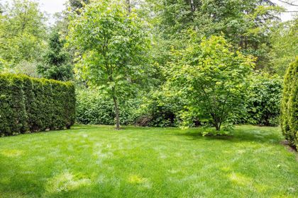 3595-salal-drive-roche-point-north-vancouver-03