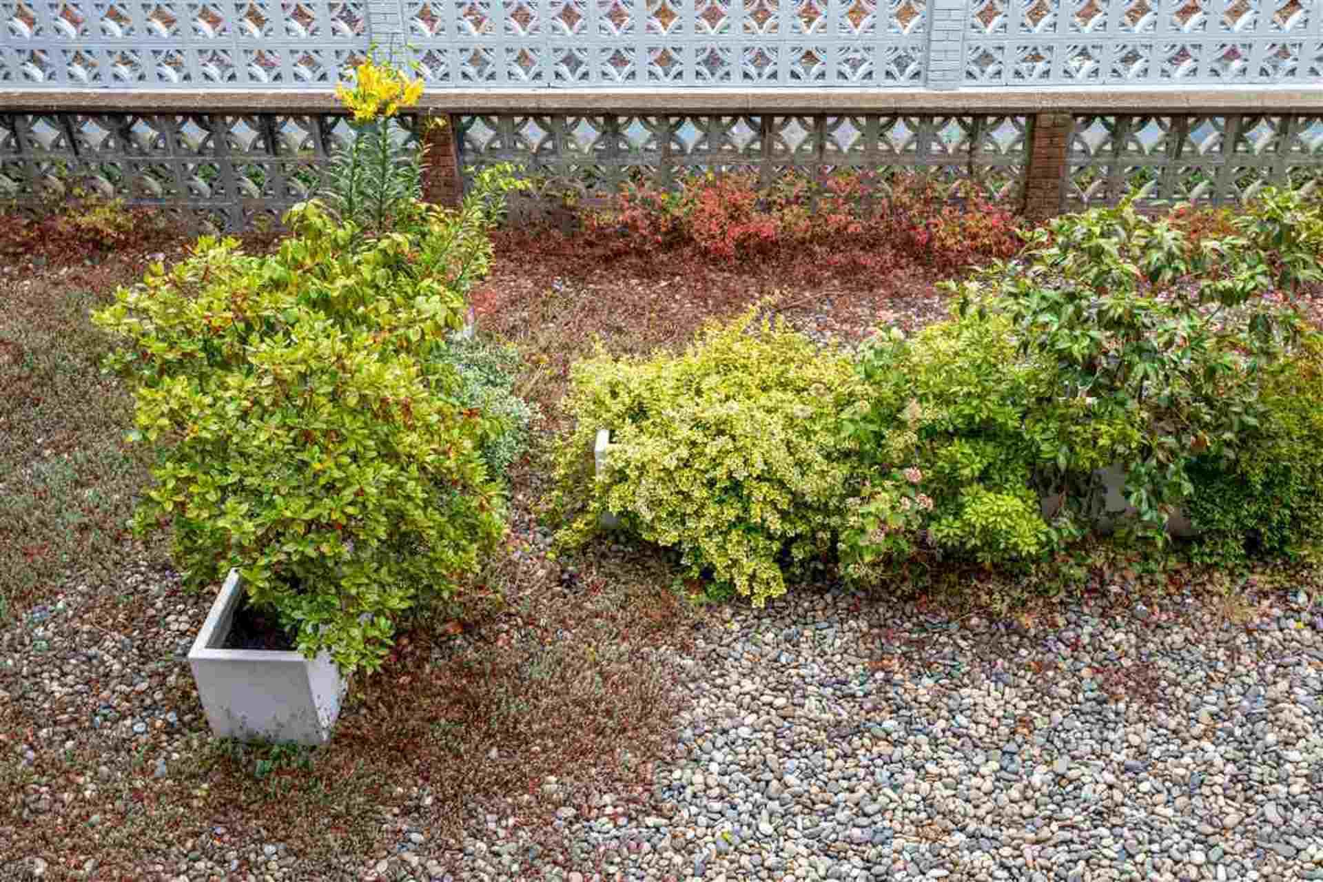 7428-19th-avenue-edmonds-be-burnaby-east-11 at 211 - 7428 19th Avenue, Edmonds BE, Burnaby East