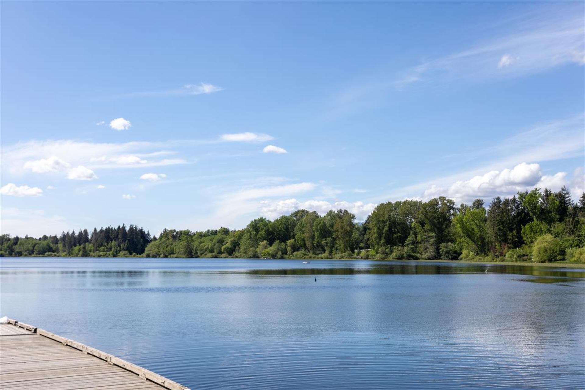 6036-brantford-avenue-upper-deer-lake-burnaby-south-18 at 6036 Brantford Avenue, Upper Deer Lake, Burnaby South