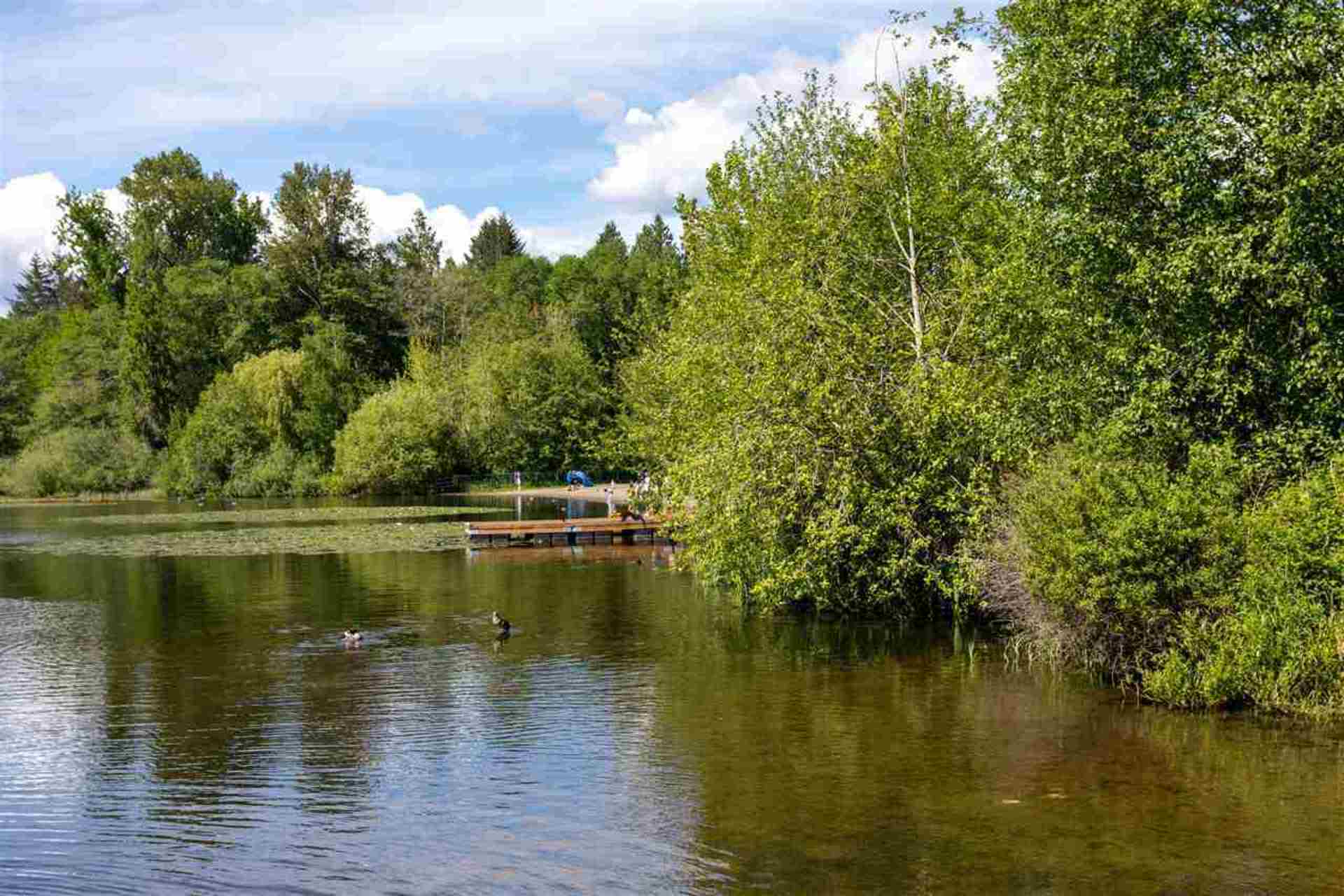 6036-brantford-avenue-upper-deer-lake-burnaby-south-19 at 6036 Brantford Avenue, Upper Deer Lake, Burnaby South
