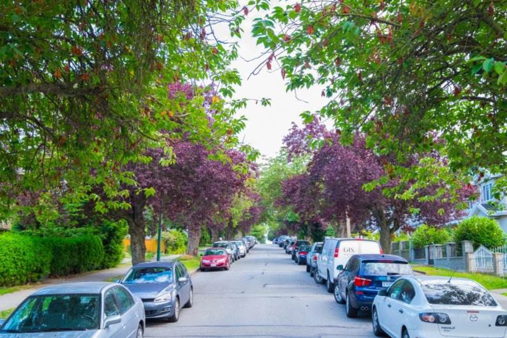 1036-nootka-tree-lined at 1036 Nootka Street, Renfrew VE, Vancouver East
