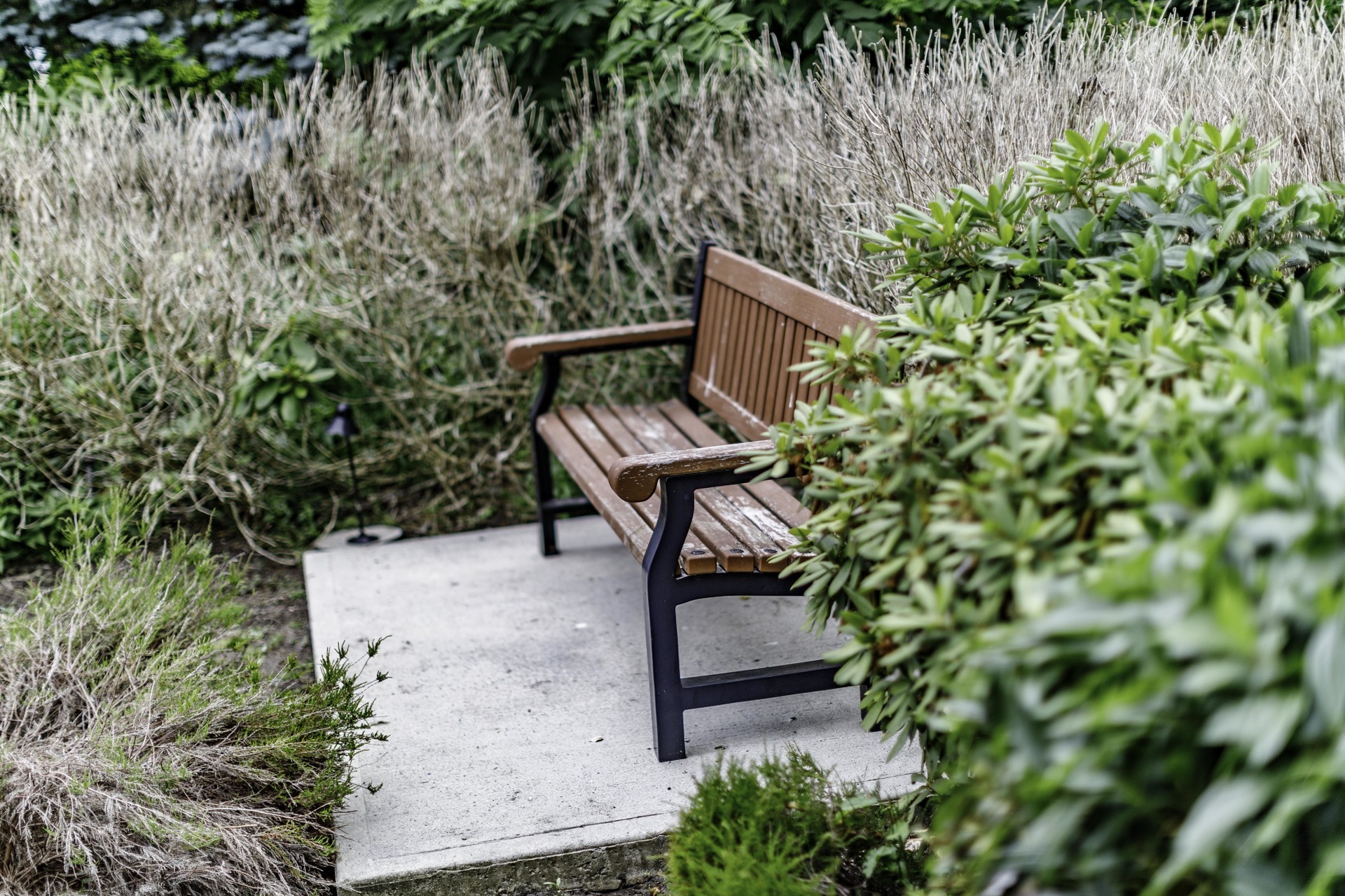 g-1-34 at 707 - 2980 Atlantic Avenue, Coquitlam