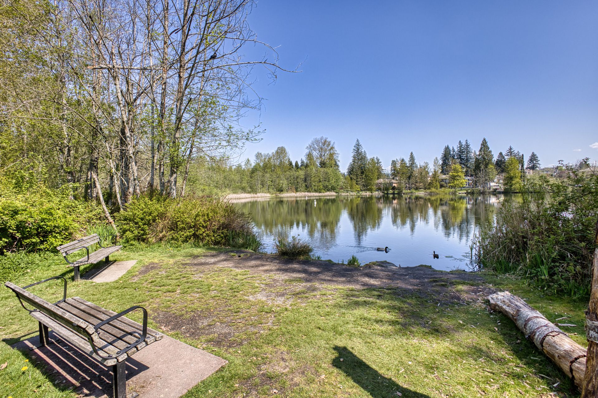 co_la_25_38 at 1213 Grover Avenue, Central Coquitlam, Coquitlam