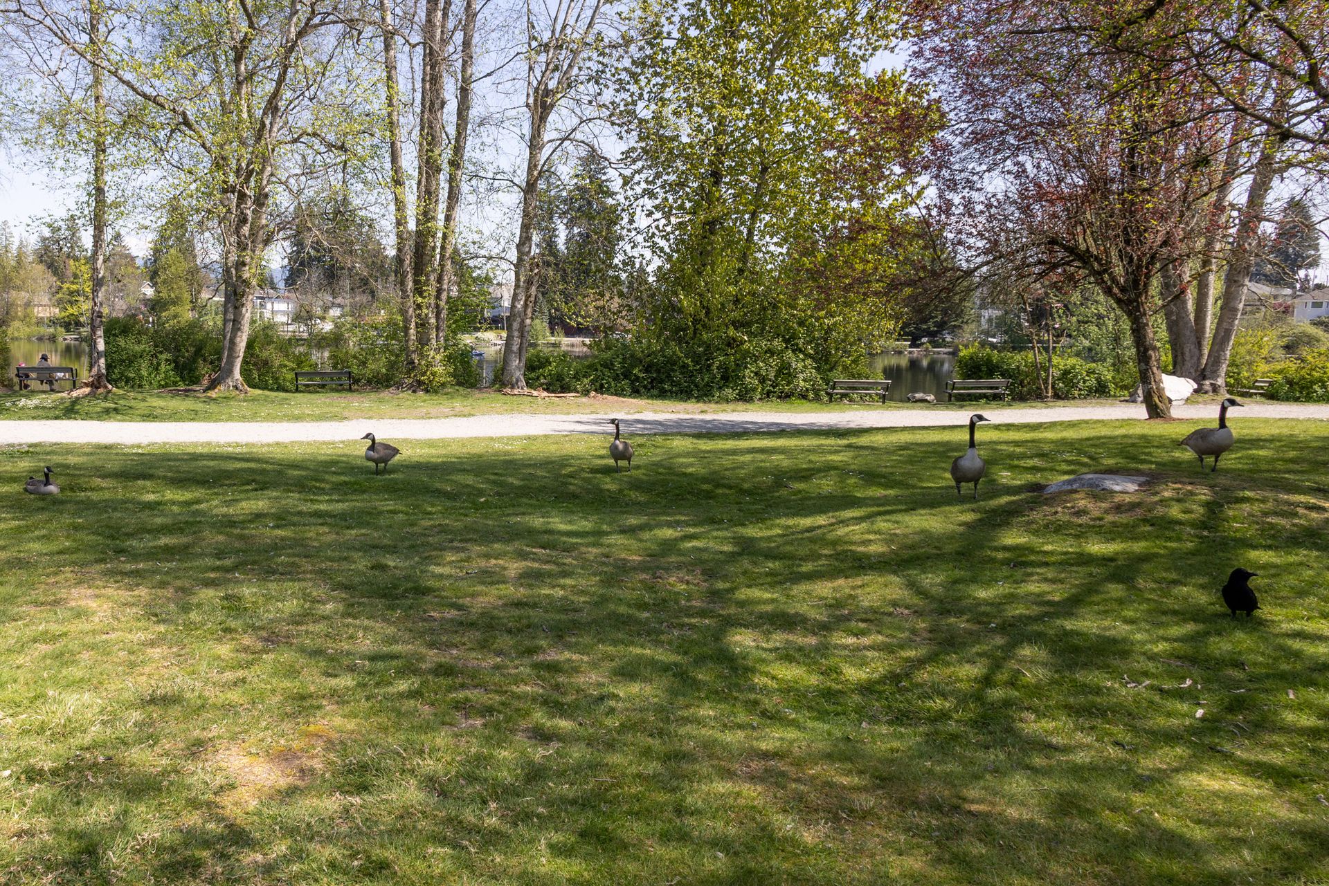 co_la_25_40 at 1213 Grover Avenue, Central Coquitlam, Coquitlam