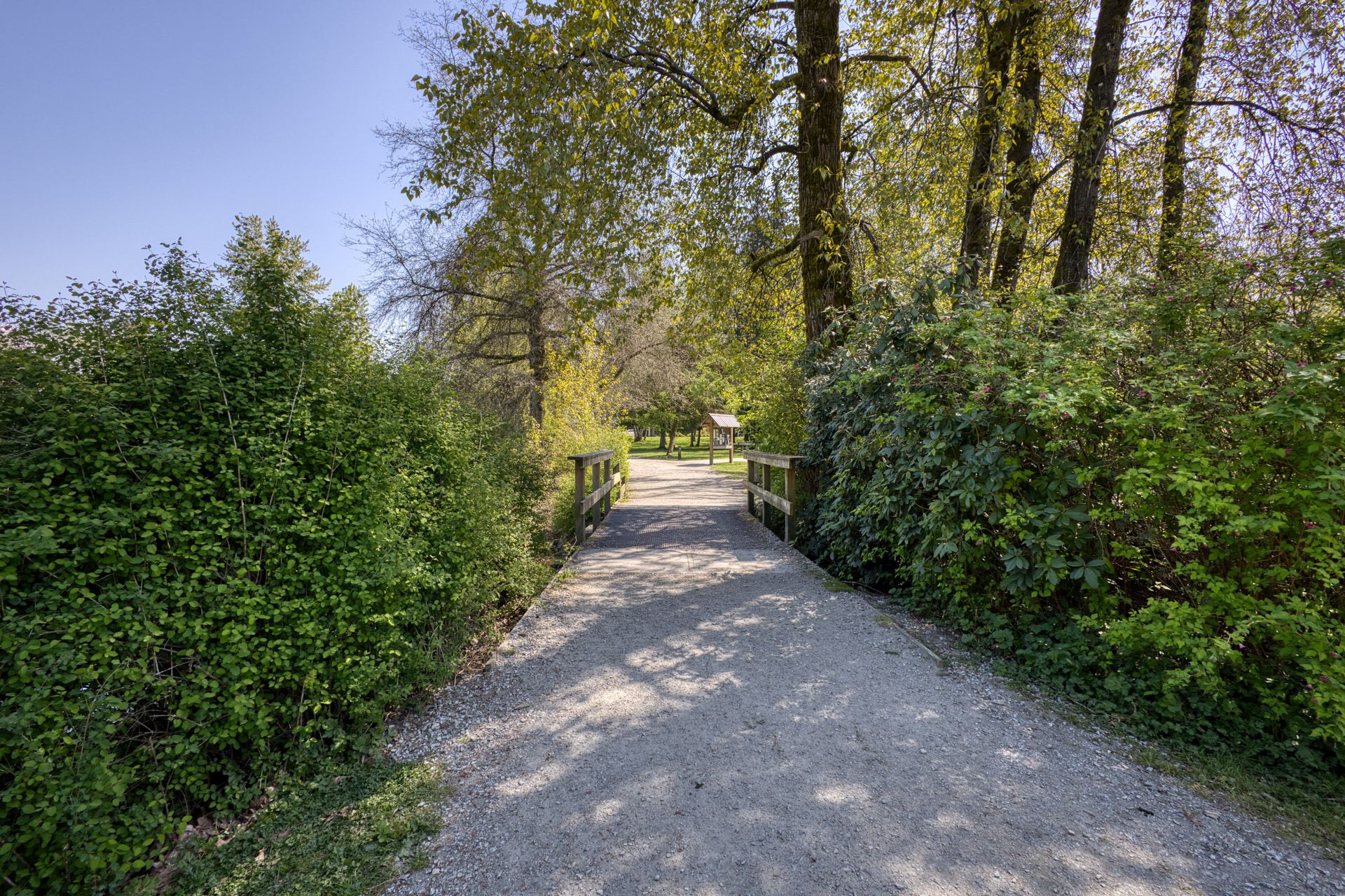 co_la_25_43 at 1213 Grover Avenue, Central Coquitlam, Coquitlam