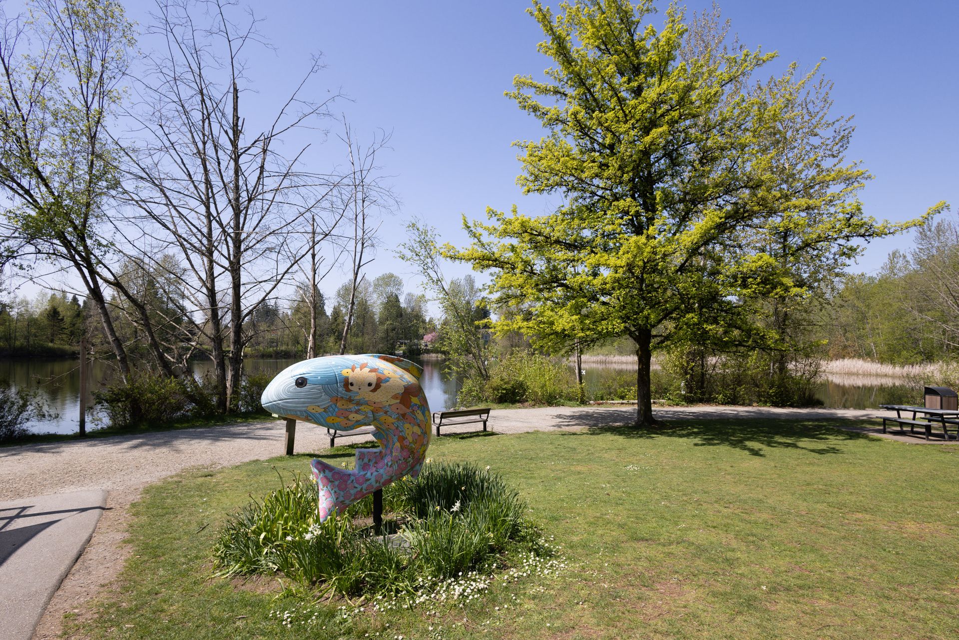 co_la_25_49 at 1213 Grover Avenue, Central Coquitlam, Coquitlam