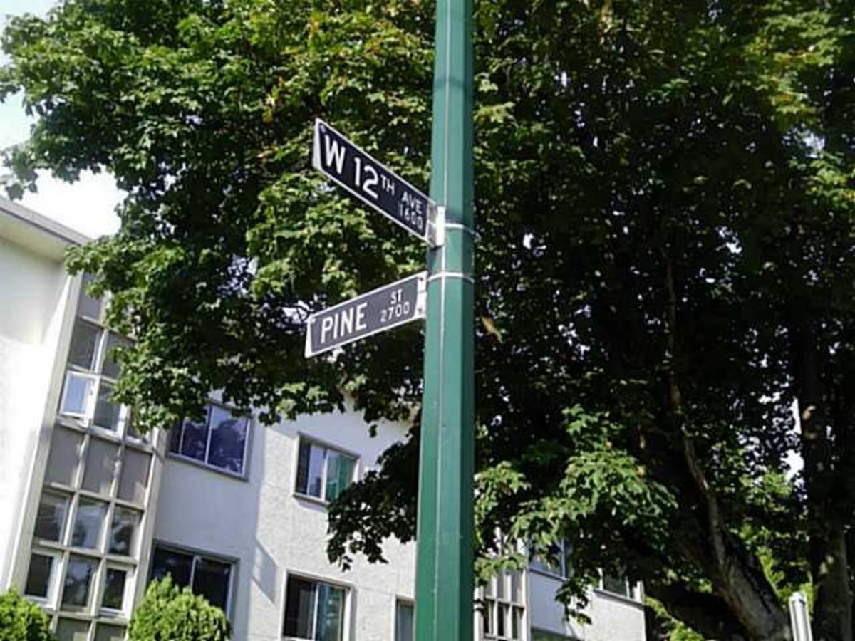 image-261559959-3.jpg