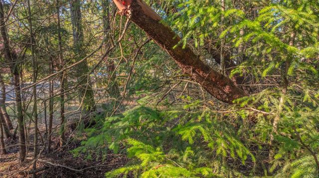 lot-55-evanshire-fairwinds-parksvillequalicum-23 at Lot 55 Evanshire Crescent, Fairwinds, Parksville/Qualicum lot-55-evanshire-fairwinds-parksvillequalicum-23 at Lot 55 Evanshire Crescent, Fairwinds, Parksville/Qualicum