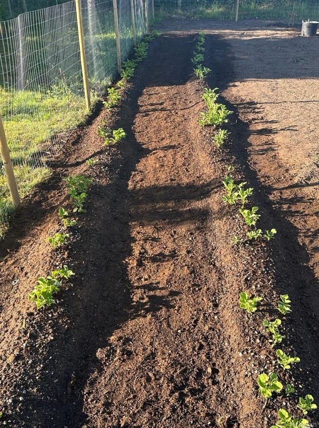 2070-sun-king-erringtoncoombshilliers-parksvillequalicum-26 at 2070 Sun King Road, Errington/Coombs/Hilliers, Parksville/Qualicum