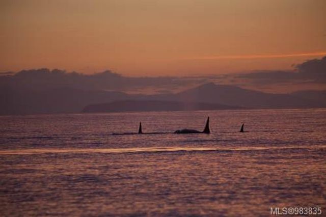 2460-ainsley-fairwinds-parksvillequalicum-21 at 2460 Ainsley Place, Fairwinds, Parksville/Qualicum