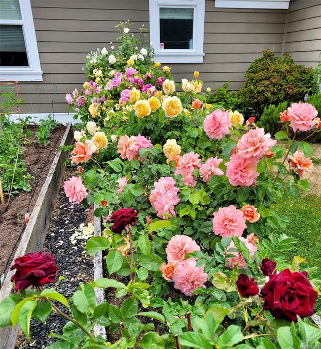 688-neden-french-creek-parksvillequalicum-36 at 688 Neden Way, French Creek, Parksville/Qualicum