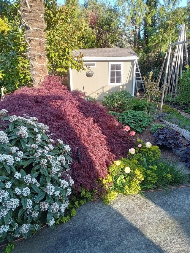 1379-reef-nanoose-parksvillequalicum-52 at 1379 Reef Road, Nanoose, Parksville/Qualicum