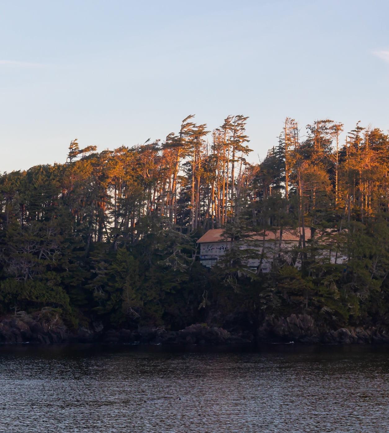 Selling Homes and Making Dreams Come True since 2007