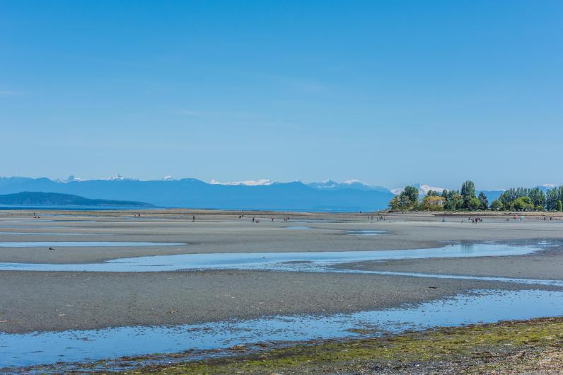 Sandy Beach Oasis for Relaxation and Family Fun