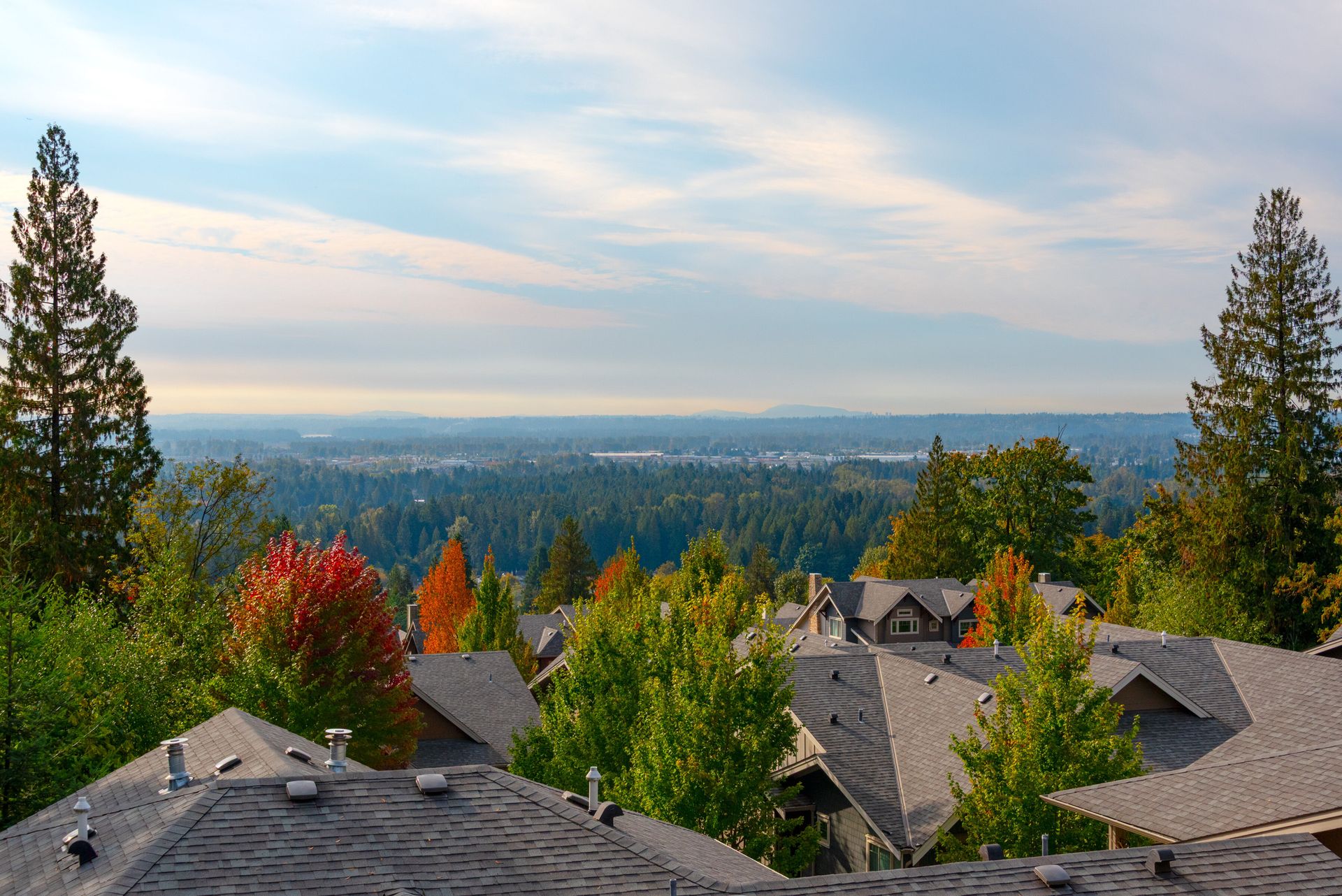 119 - 3450 David Avenue, Burke Mountain, Coquitlam 