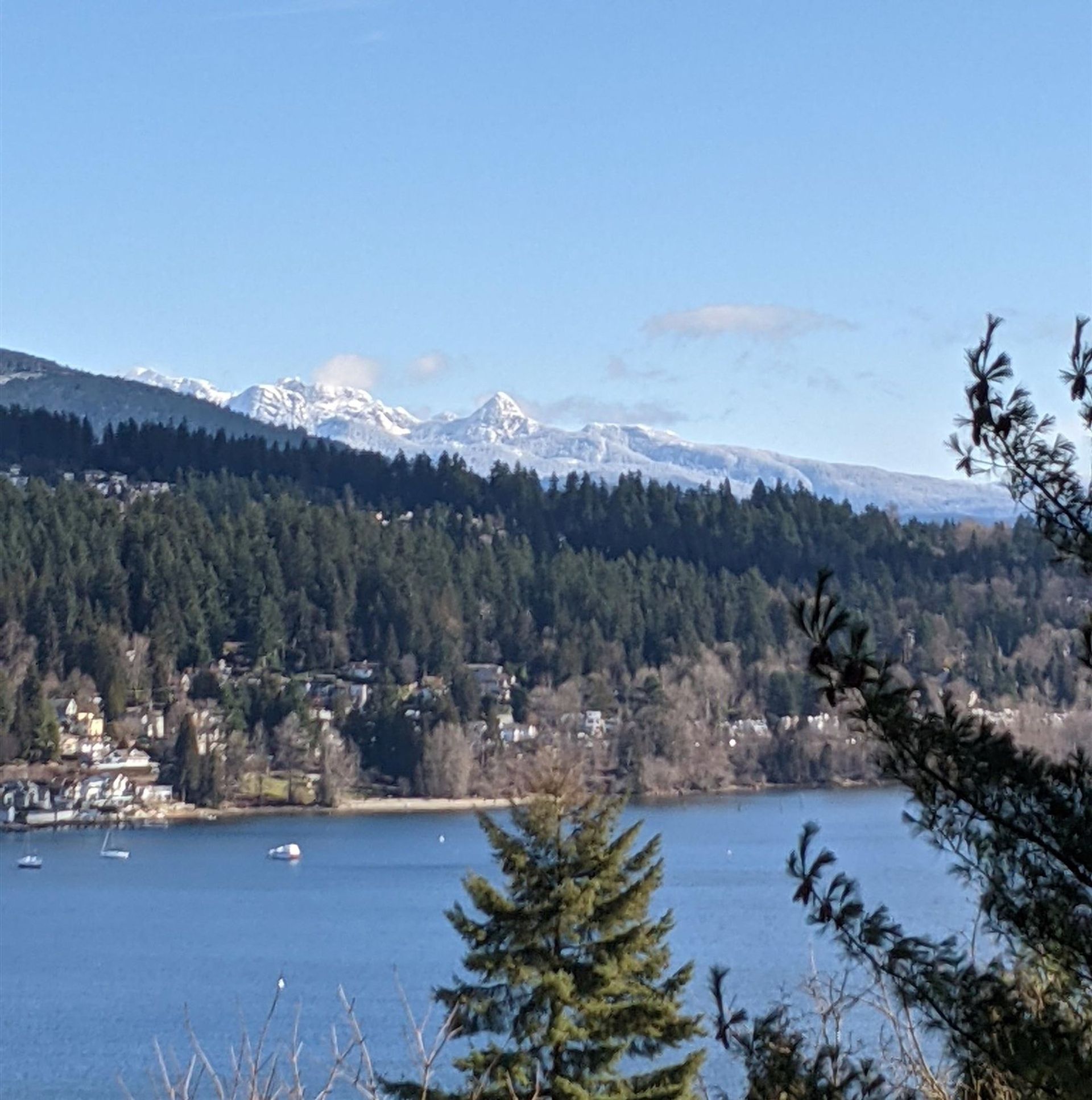 512-cardiff-way-college-park-pm-port-moody-03