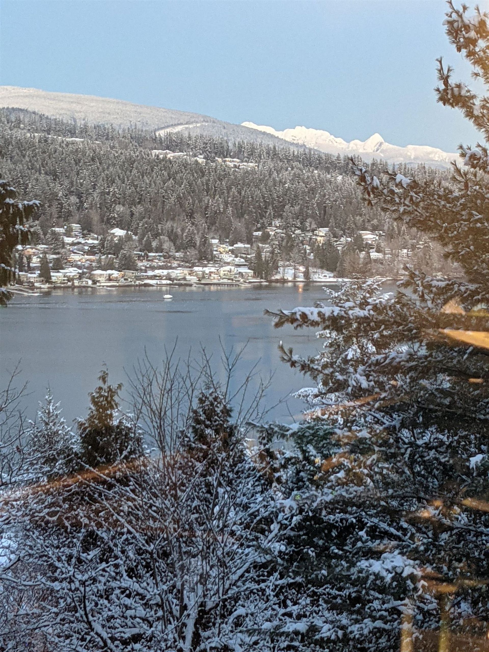 512-cardiff-way-college-park-pm-port-moody-05