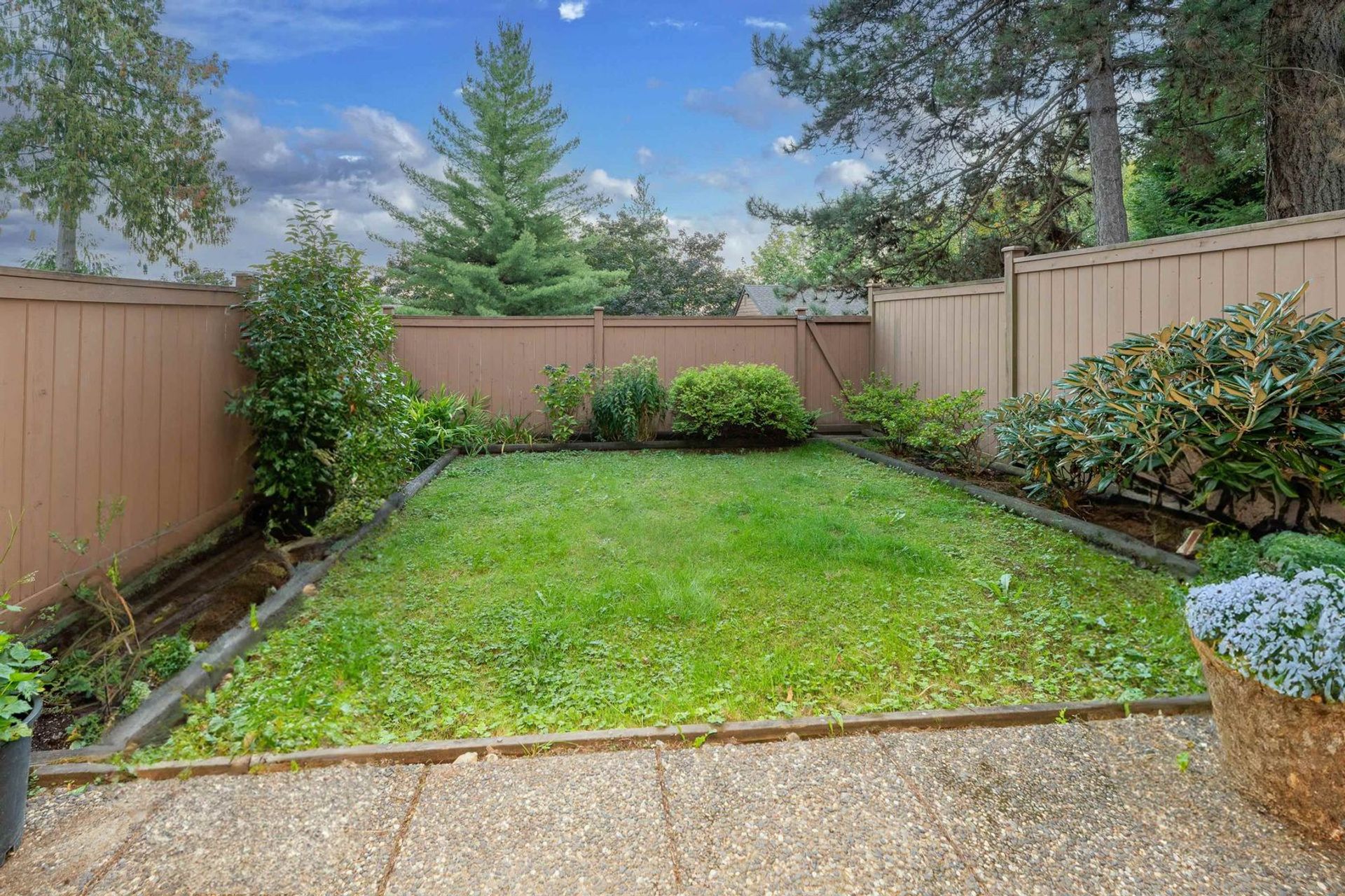 512-cardiff-way-college-park-pm-port-moody-37