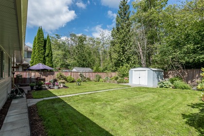 Back Yard, Green Space, and Garden Shed at 12220 234 Street, East Central, Maple Ridge