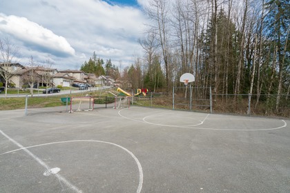39487_50 at 13056 240th Street, Maple Ridge