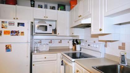 DSC_9518.jpeg at #207 - 1669 Grant Avenue, Port Coquitlam